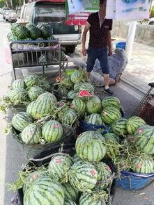 南宁兴安吃瓜事件视频最新,一场引发热议的街头冲突瞬间