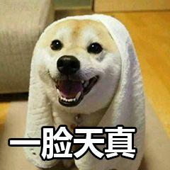 情侣吵架吃瓜段子大全视频,笑料百出，温馨又逗趣