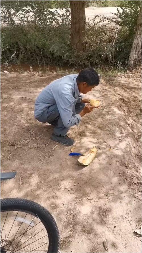 伽师最新吃瓜视频,幕后真相大曝光！