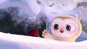 有趣的吃瓜比赛视频,一场趣味横生的吃瓜大赛精彩回顾