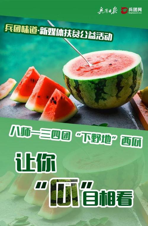 超级快速吃瓜视频,揭秘娱乐圈最新热点瞬间