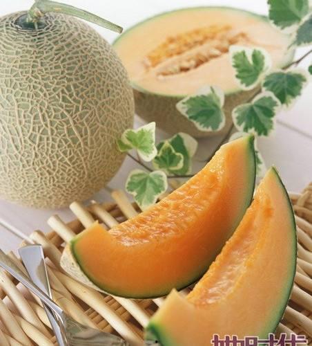 鹅喊主人吃哈密瓜视频播放,鹅儿欢声引主人共享哈密瓜美味时光