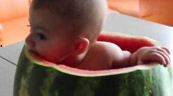 宝宝在线吃瓜视频观看,萌态十足，萌娃吃瓜视频走红网络