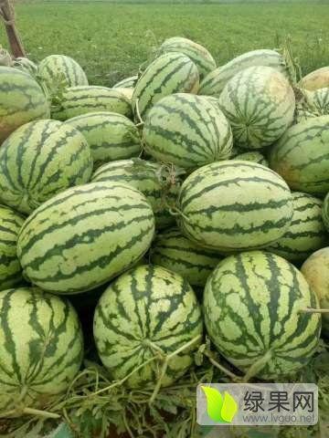 山西忻州吃瓜事件视频,一场引发热议的网络视频风波