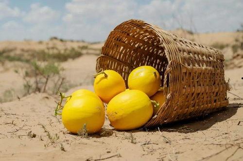 美团吃瓜的视频,揭秘美食背后的故事与趣味瞬间