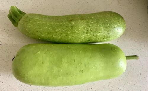 立秋后可以吃丑瓜吗视频